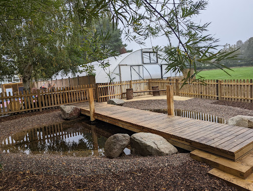 Photo showing the newly-developed pond area on the grounds of Horsmonden Primary Academy.
