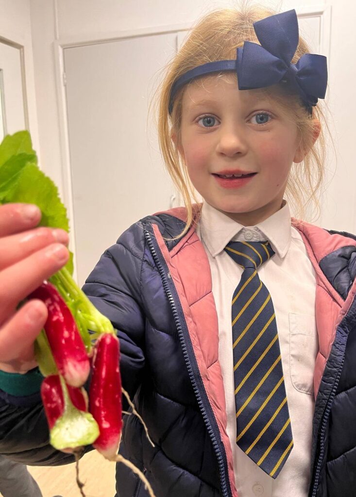 A young pupil with some freshly harvested radishes